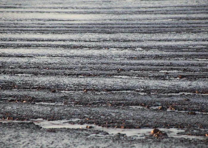 Appartement Kunst-t-raum *