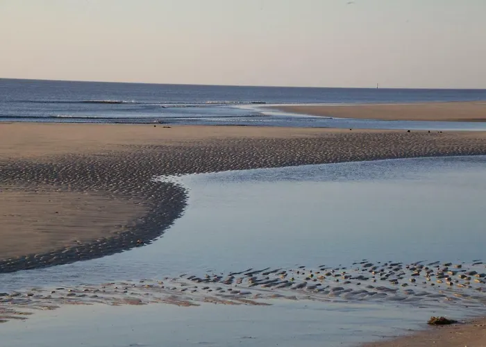 Appartement Kunst-t-raum